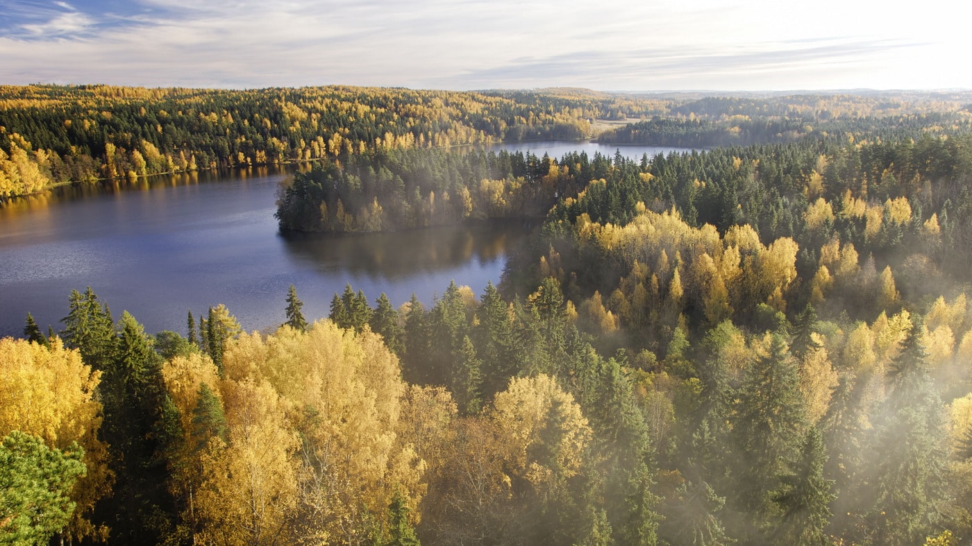 Herbstfarben in Finnland (c) Vastavalo Teemu-Tret