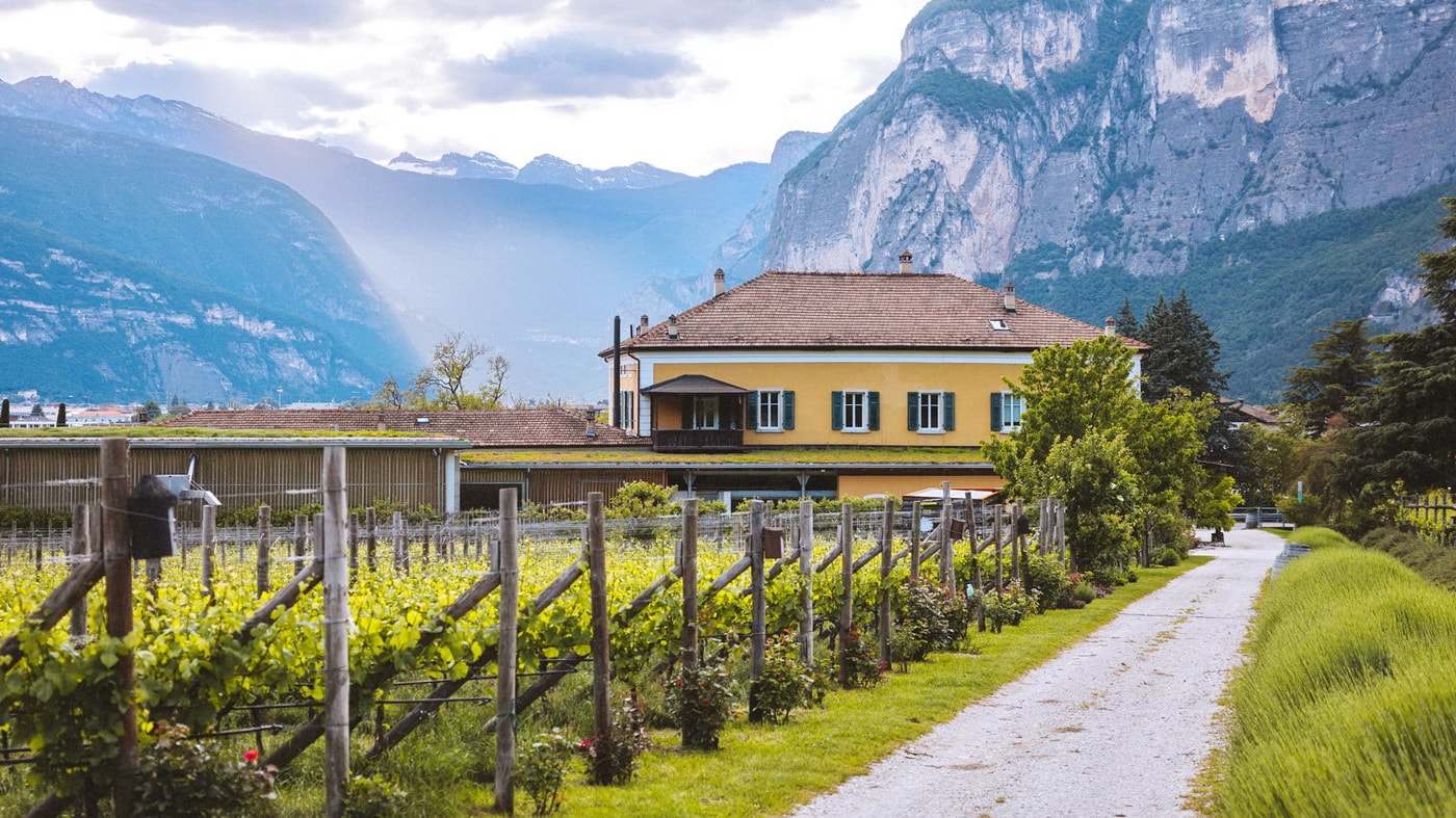 Trentino Wein