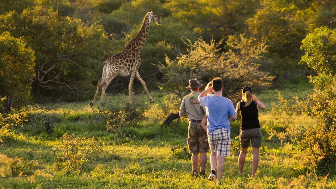 Guided Walk Safari, Giraffe (c) South African Tourism