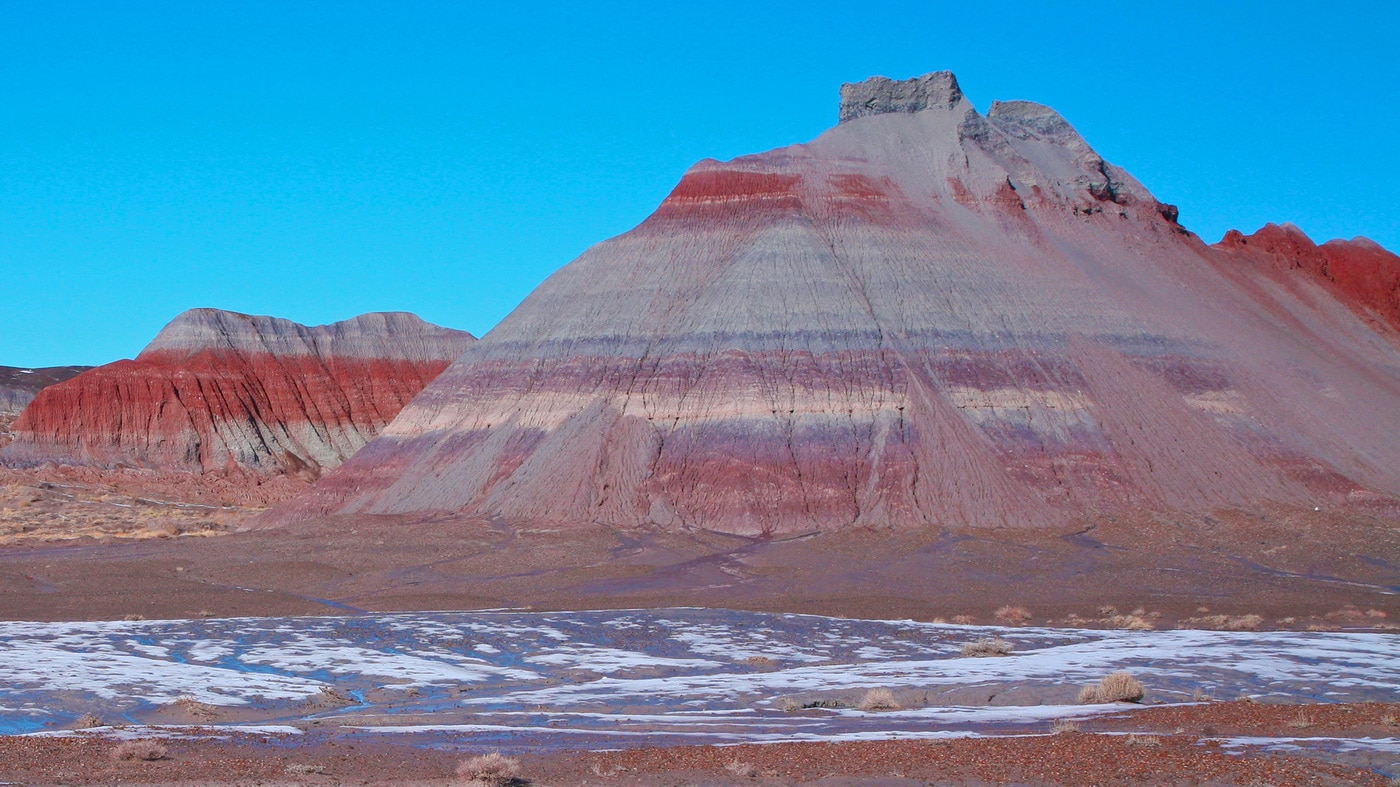 Holbrook, Petrified Forest Blue Mesa Member, Chinle Formation (c) National Park Service