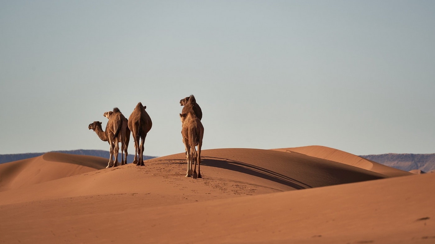 Marokko, Wüste (c) pixabay
