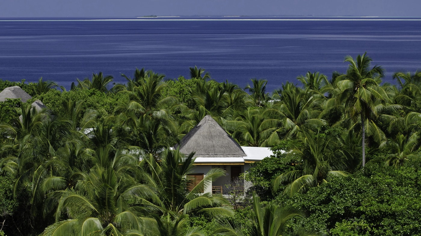 Amilla Fushi Wellness Tree House (c) Amilla Fushi Maldives Resort